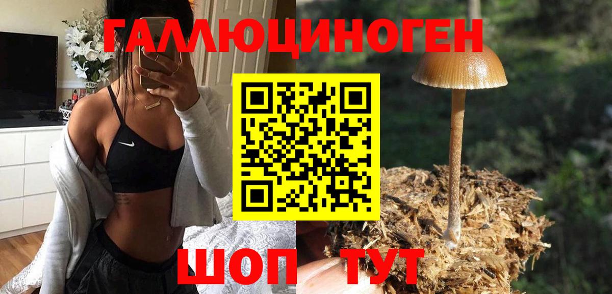 Псилоцибиновые грибы Psilocybine cubensis  Вход с VPN  Алапаевск 